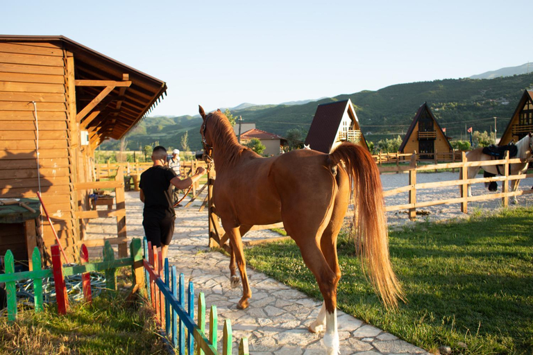 Others 5, Sancho Farm Albania, Tepelenës