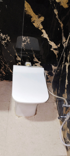 Bathroom 4, The Royal Palace, Dewas