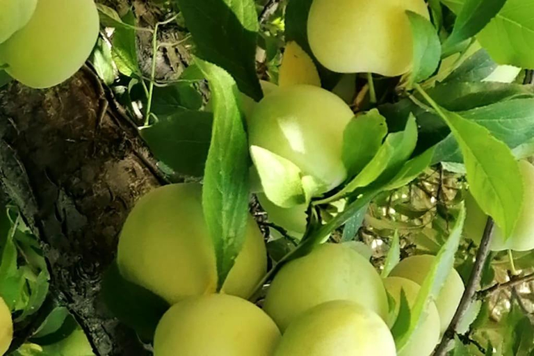 3, Sogno Mediterraneo Pula Sardegna villa a soli 300 mt dal mare, Cagliari