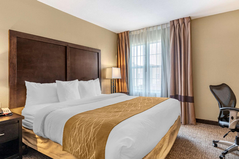 Bedroom 12