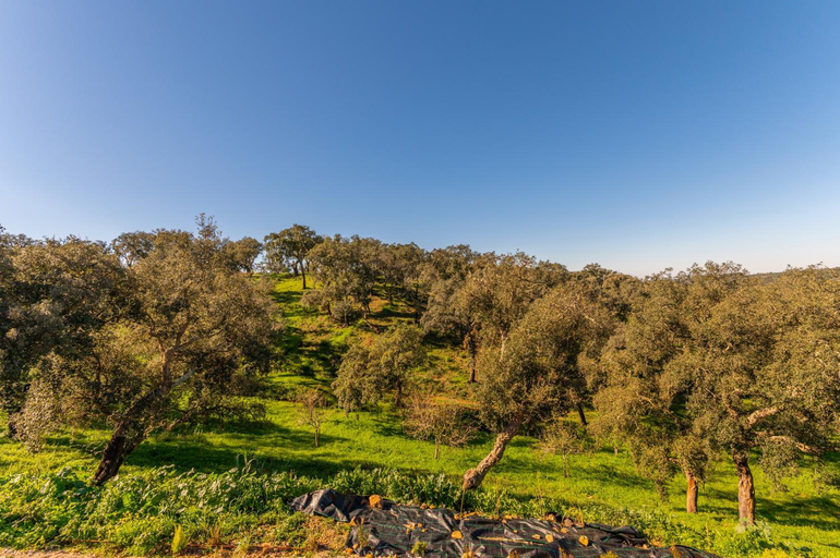 Others 5, Sierra Melides Villa,Alentejo, BR2 with private pool, BR3 with private pool - near beach, Santiago do Cacém