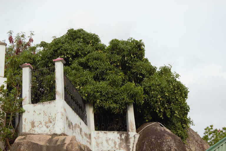 Others 4, Cleopatra HomeStay & Safaris, Nyamagana