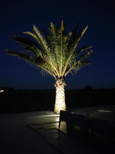 Others 4, Au domaine de Gigie, Charente-Maritime