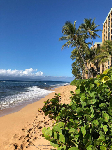 Others 3, Maui Westside Presents: Mahana 1003, Maui
