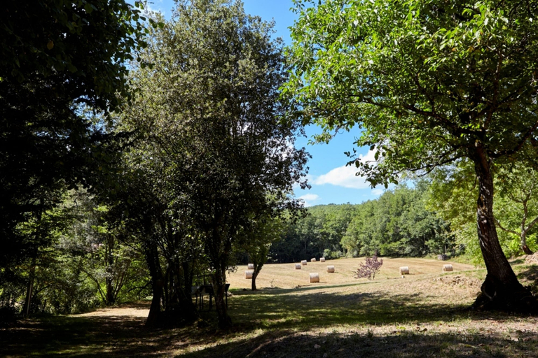 Others 5, Le Gîte étoilé, Dordogne