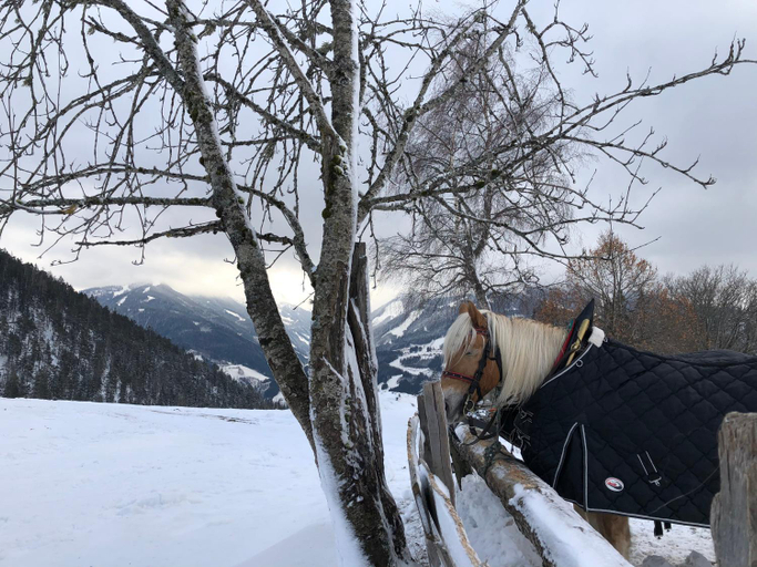 Others 4, Chalet Dachstein, Liezen