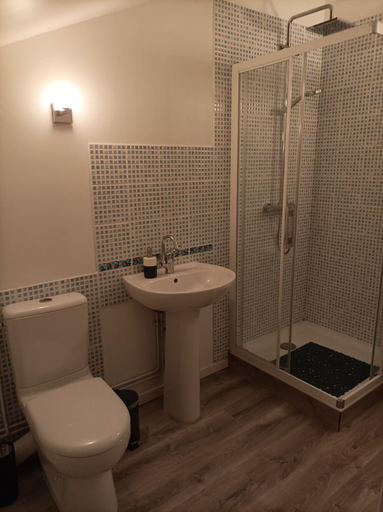 Bathroom 5, Cadol'Ain, Ain