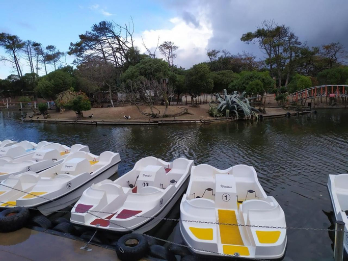 Others 3, Aparts del lago de los cisnes, Necochea