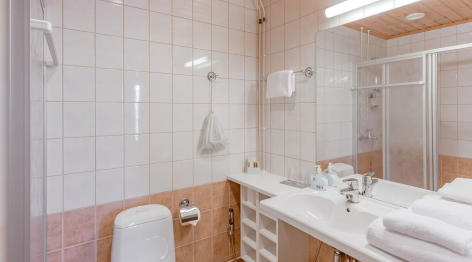 Bathroom 4, Summer Hotel Tott, Southern Savonia