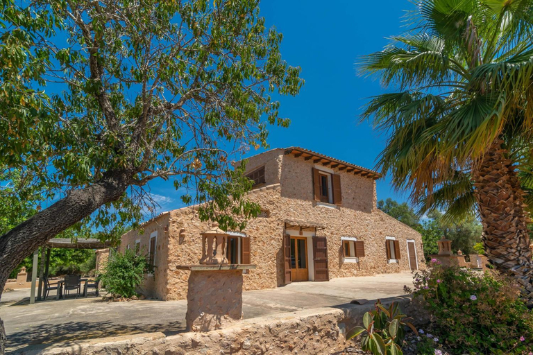 Others 5, Saran, Baleares
