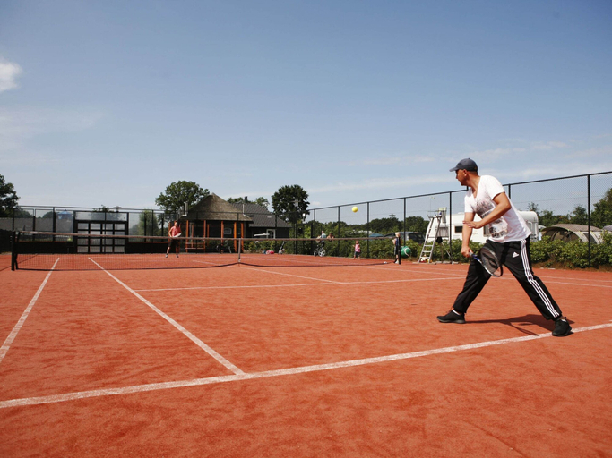 Sport court 3, Detached Bungalow with Decorative Fireplace near Veluwe, Barneveld