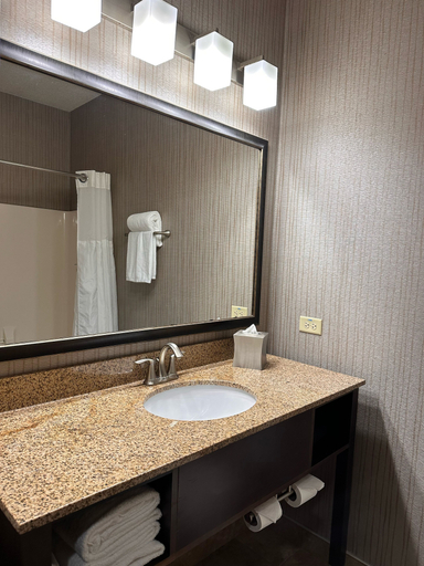 Bathroom 5, Holiday Inn Express & Suites CHICAGO-DEERFIELD/LINCOLNSHIRE by IHG, Cook