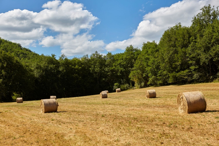 Others 4, Le Gîte étoilé, Dordogne