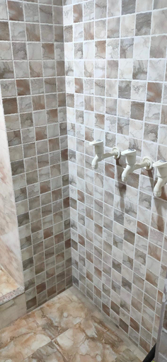 Bathroom 2, Dhanwantari nivas, Varanasi