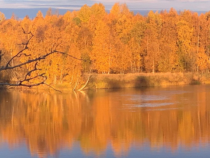 Others 5, Luxus Tiny House Saagala, Lapland