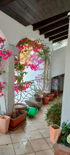 Others 5, casa alberto, Olbia-Tempio