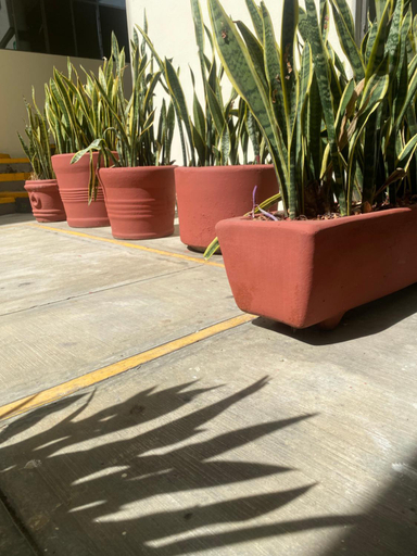 Others 5, Nomada Hostel Oaxaca - Vive nomada!, Del Centro