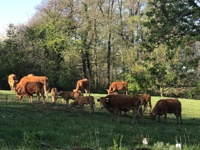 Others 3, Les Ombrieres, Charente
