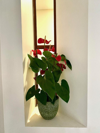 Others 5, DOURO B&B Avenida, Resende