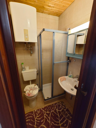 Bathroom 4, Christis Apartments, Völkermarkt