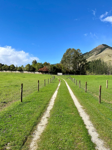 Others 5, Off the Beaten Track B&B, Marlborough