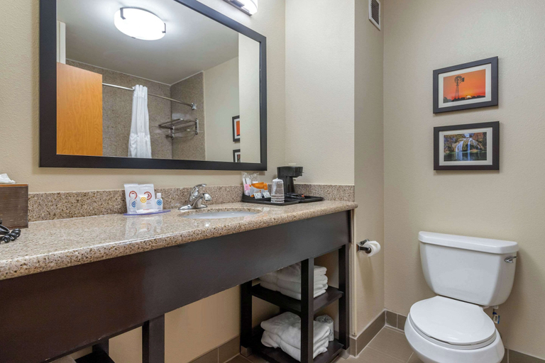 Bathroom 4, Comfort Inn & Suites Glenpool, Tulsa