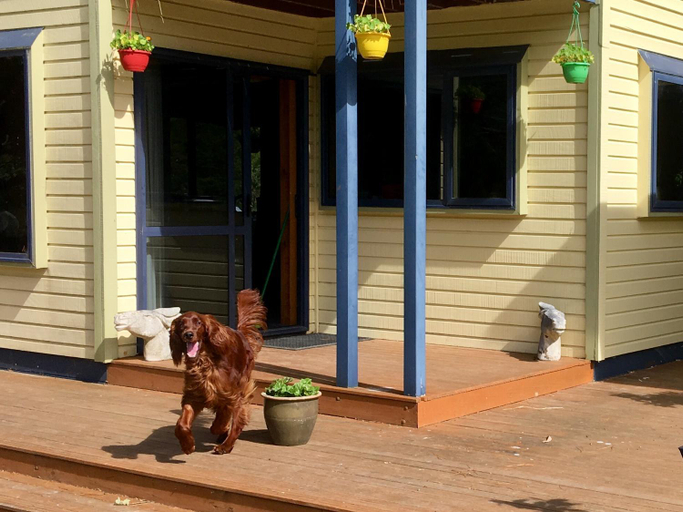 Others 4, Off the Beaten Track B&B, Marlborough