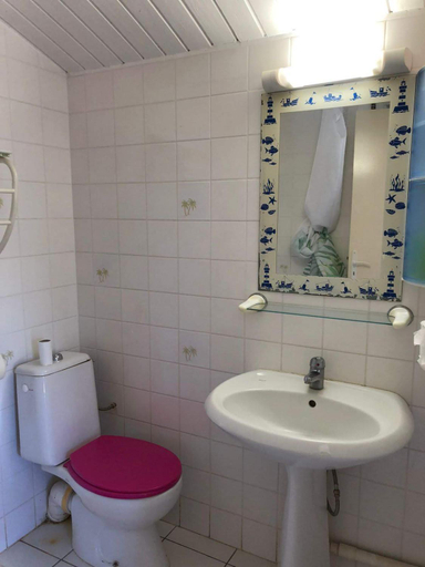 Bathroom 5, les gîtes hoprins, Le Moule