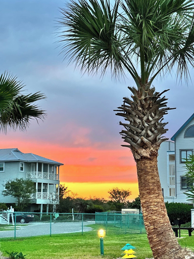 Exterior & Views 2, Plantation West 1149, Baldwin