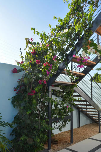 Others 2, Bless Villa Apartment, Kaskazini 'B'