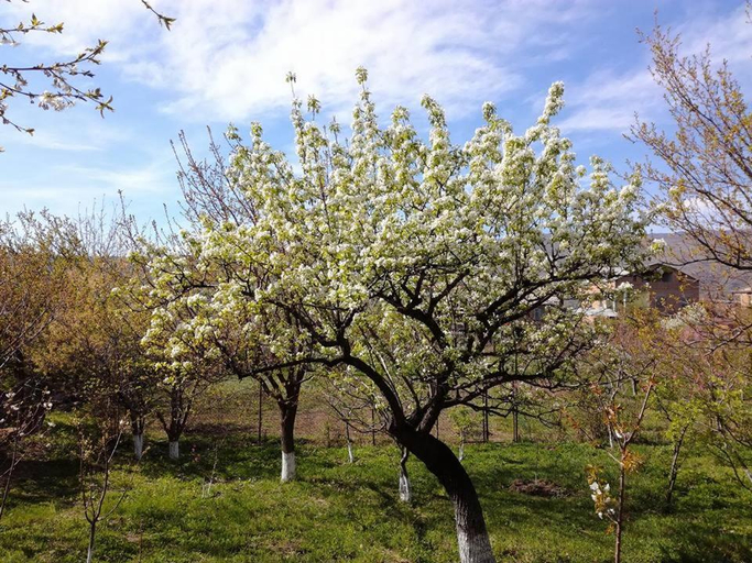 Others 3, Villa Mimi