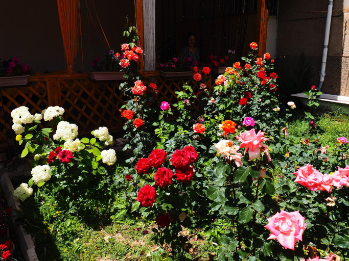 Others 5, Baktygul guesthouse, Naryn