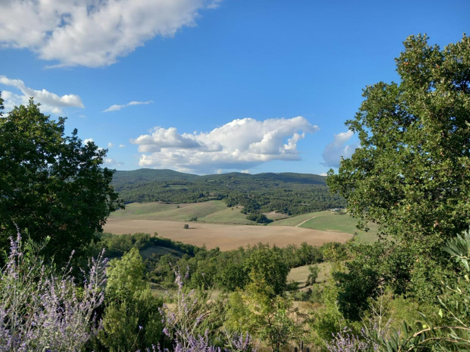 Others 4, Agriturismo Timignano, Siena