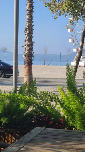 Food & Drinks, Hotel Noel, Vlorës