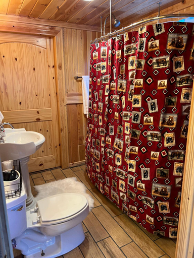 Bathroom 3, Bellamy's Ski Haus, Taos