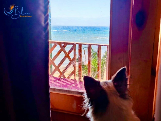 Others 5, Blue Beach Camp, Nuweiba'