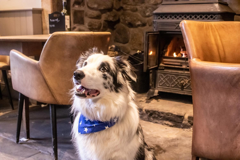 Others 5, The Waddington Arms, Lancashire