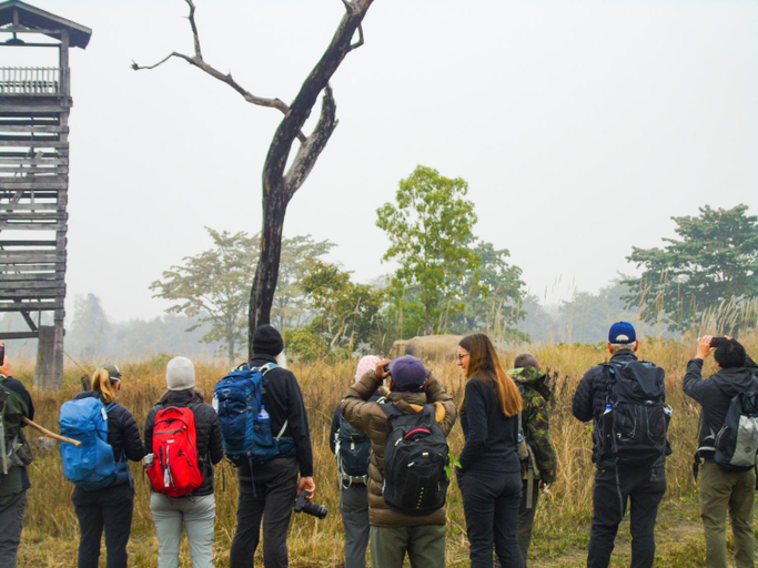 Others 3, Mango Tree Lodge, Bheri