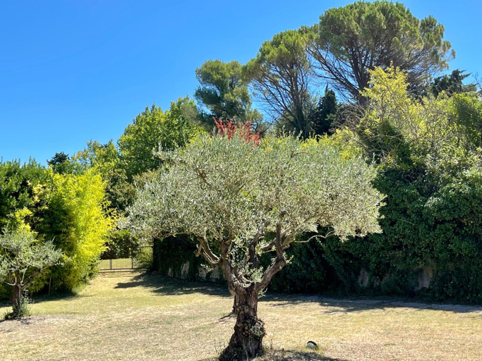 Others 5, Le Mas des Perrines Maison d’Hotes, Vaucluse