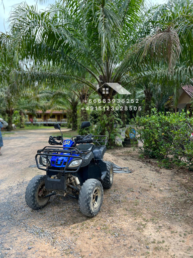 Others 3, Khiang Khaolak ATV & Resort, Thai Mueang