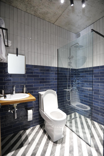 Bathroom, Aragvispiri wine cellar, Dusheti