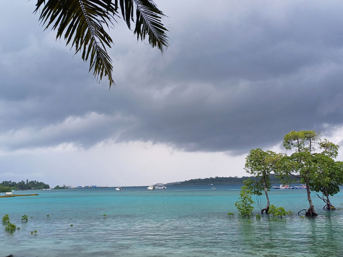 Others 5, Ocean Pearl Beach Resort, South Andaman