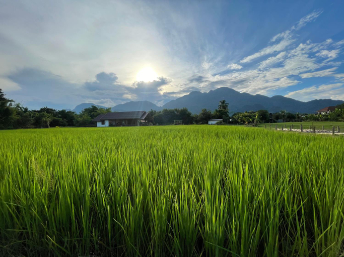 Others 2, Keawkangna Farmstay แก้วก๋างนา ฟาร์มสเตย์, Mae Sai