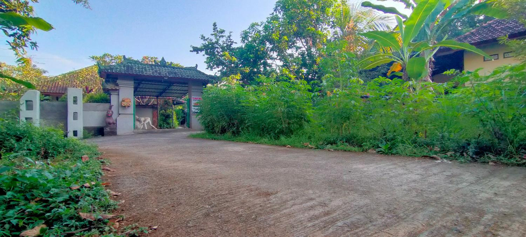Others 2, Tunjung guest house lovina beach, Buleleng