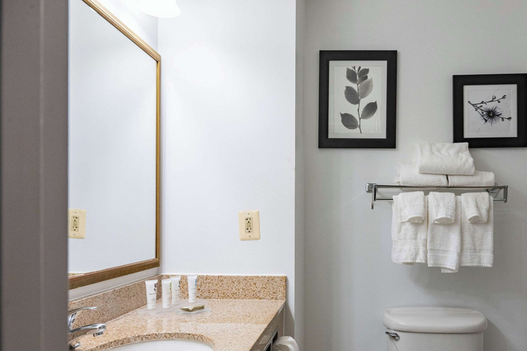 Bathroom 5, Country Inn & Suites by Radisson, BWI Airport (Baltimore), MD, Anne Arundel