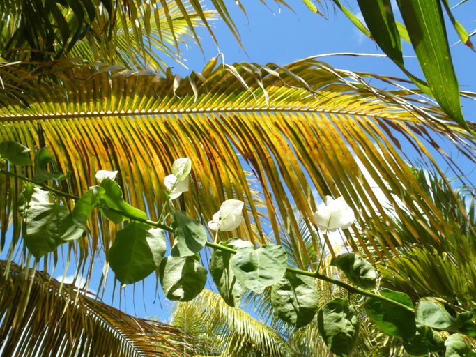 Others 4, BlueMoon Villa - Authentic, seaside living, Flacq
