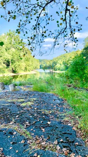 Others 3, Chic Chalet River Views & Access, Sussex