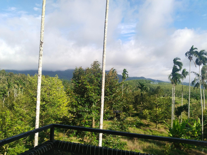 Others 3, Chill chill homestay, Sawi