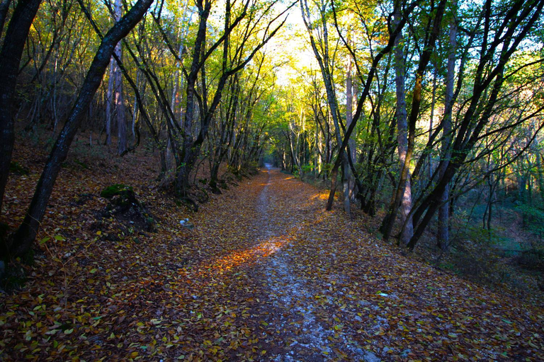 Others 3, Aria di Bosco, L'Aquila