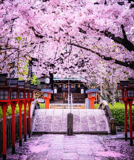 Others 4, Kyoto-Toji house, Kyoto